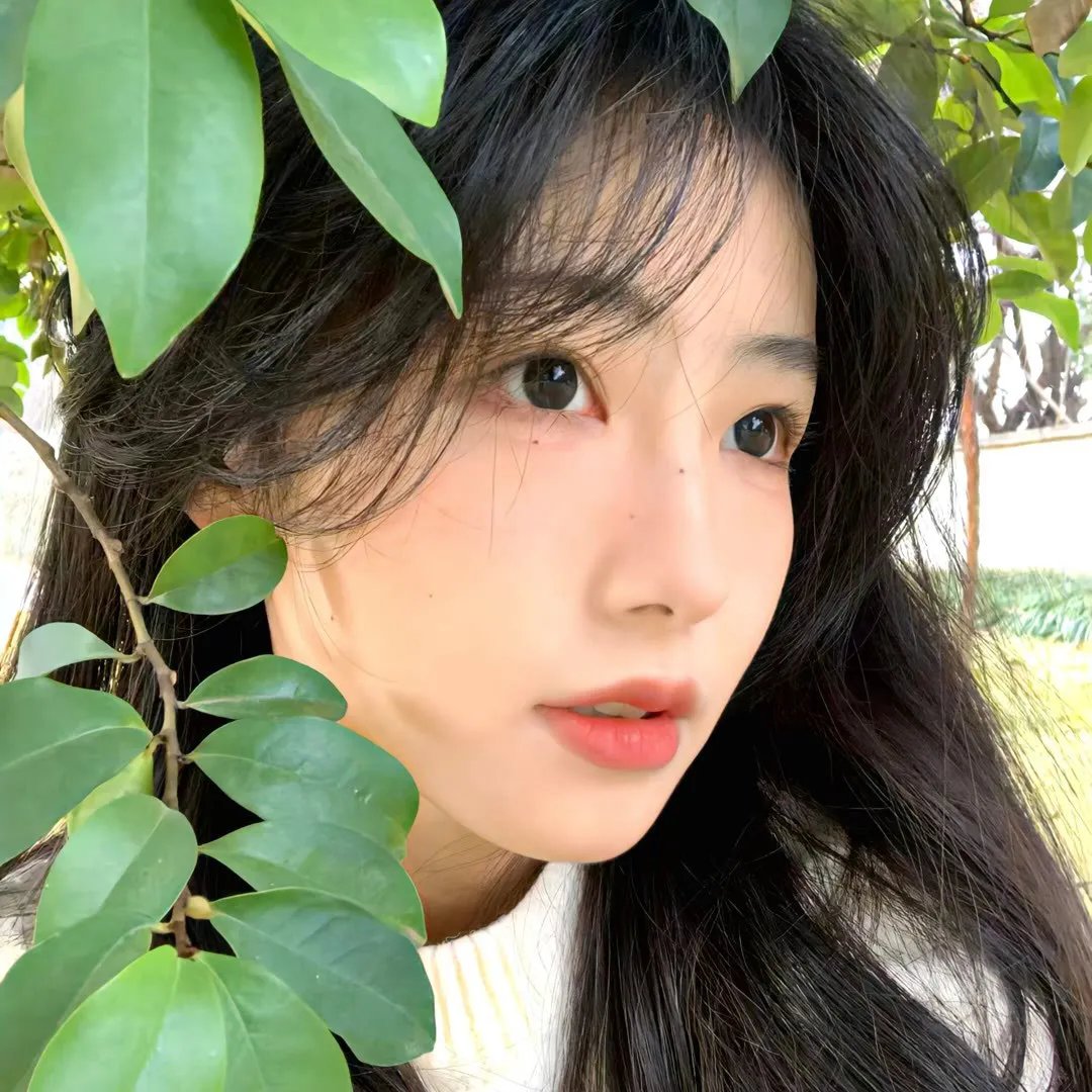 我非笼鸟